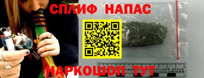 ешки Гатчина