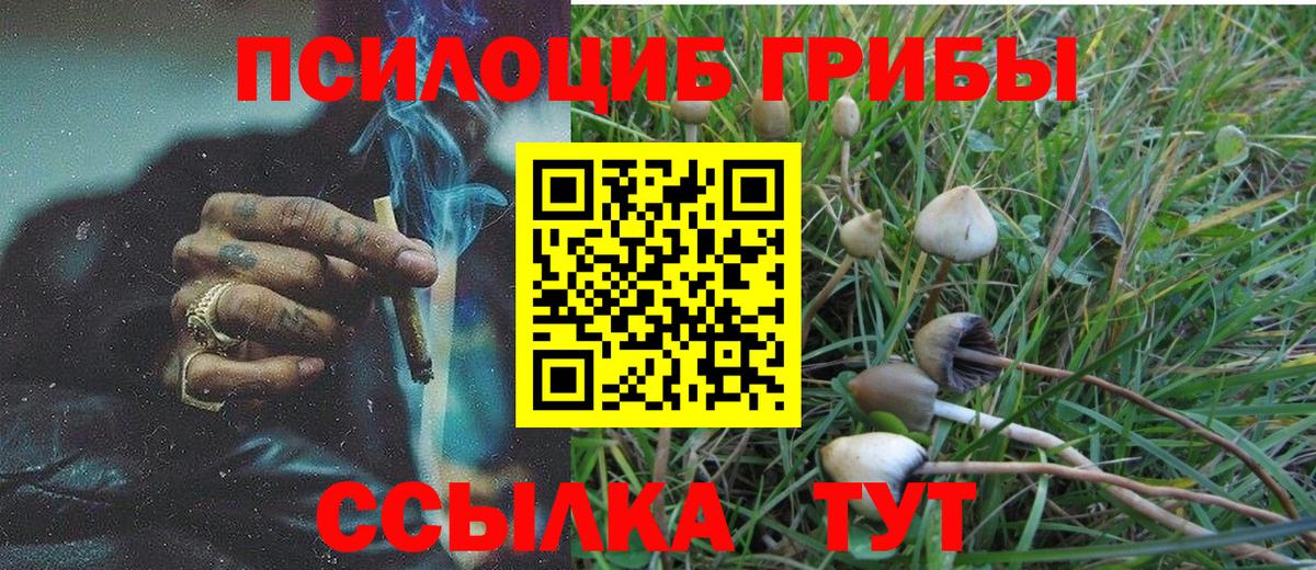 Галлюциногенные грибы ЛСД  Псилоцибиновые грибы мухоморы  Минусинск  Вход с VPN 